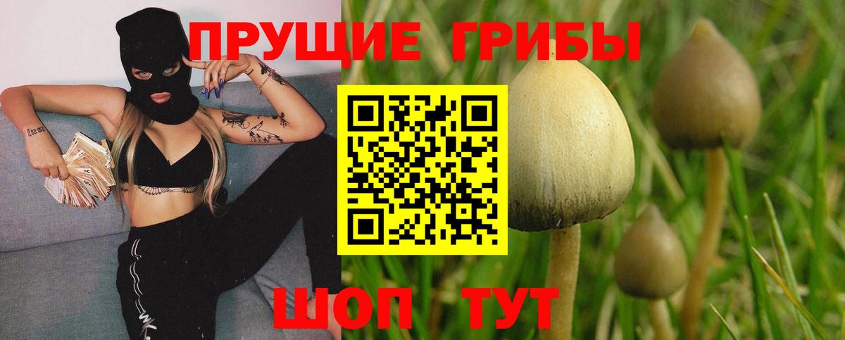 Ковров  Псилоцибиновые грибы Magic Shrooms  Псилоцибиновые грибы Magic Shrooms  Вход с VPN 